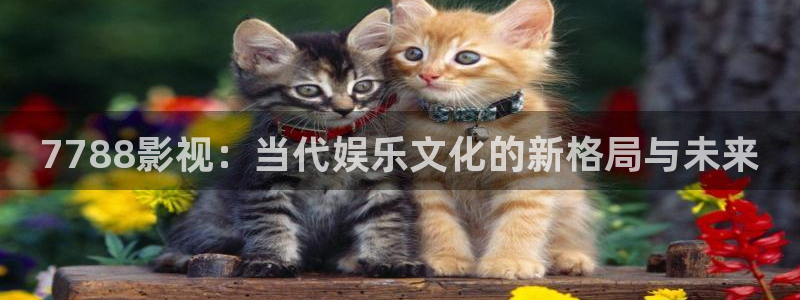 泡泡影院2023