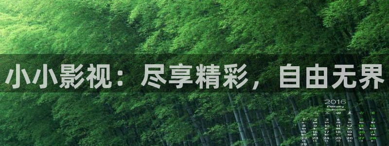 泡泡理论影视：小小影视：尽享精彩，自由无界