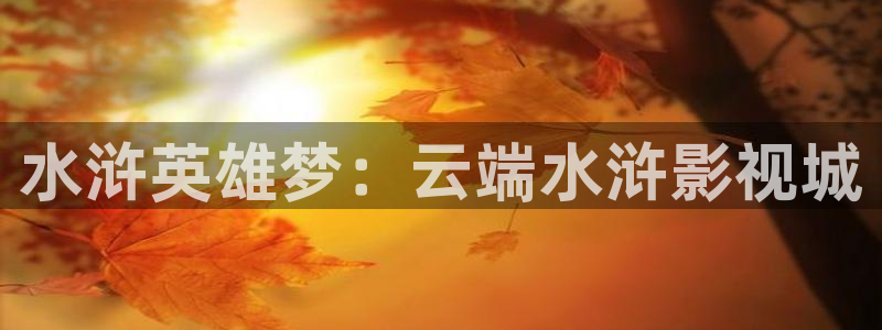 泡泡影视妈妈的朋友：水浒英雄梦：云端水浒影视城
