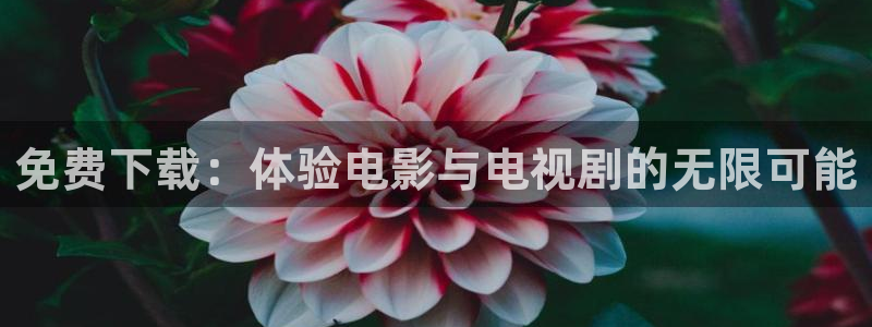 泡泡影视大全：免费下载：体验电影与电视剧的无限可能