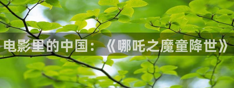 忍者神龟泡泡影视：电影里的中国：《哪吒之魔童降世》