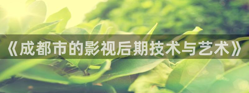 泡泡影视app下载：《成都市的影视后期技术与艺术》