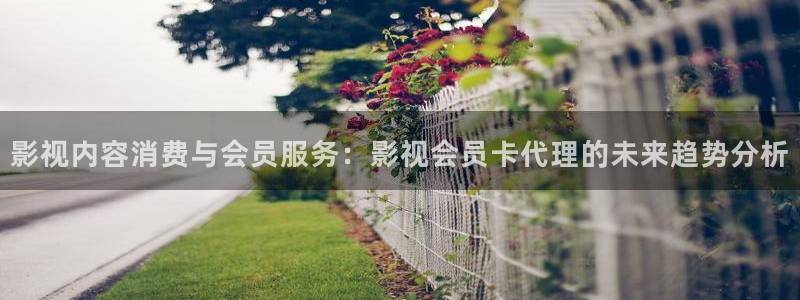 泡泡影视大全在线观看