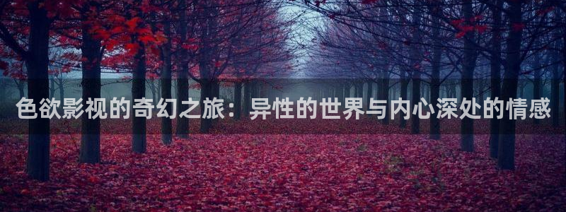 泡泡泡影视