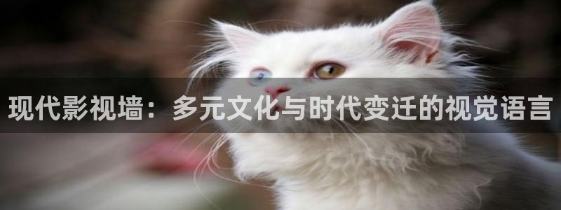 泡泡影视动漫