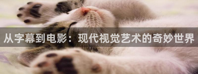 泡泡影视大全在线观看大全免费