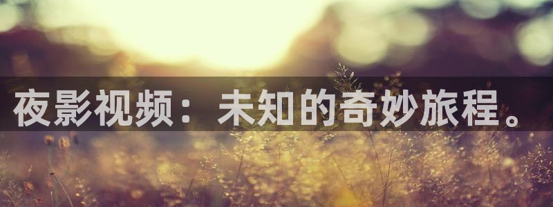泡泡电影