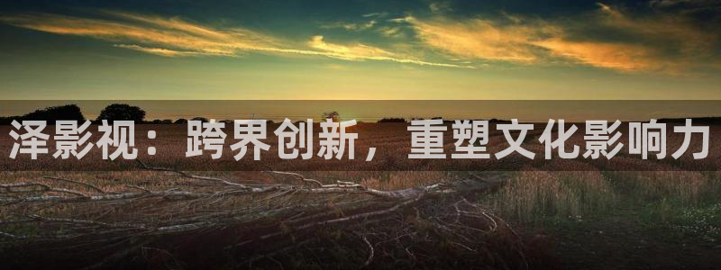 泡泡影视大全免费高清观看：泽影视：跨界创新，重塑文化影响力