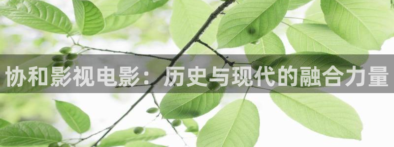 泡泡电影网最新电影